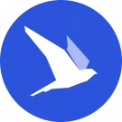 Stfalcon Team 